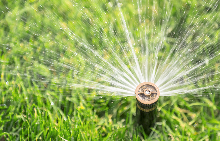 sprinkler
